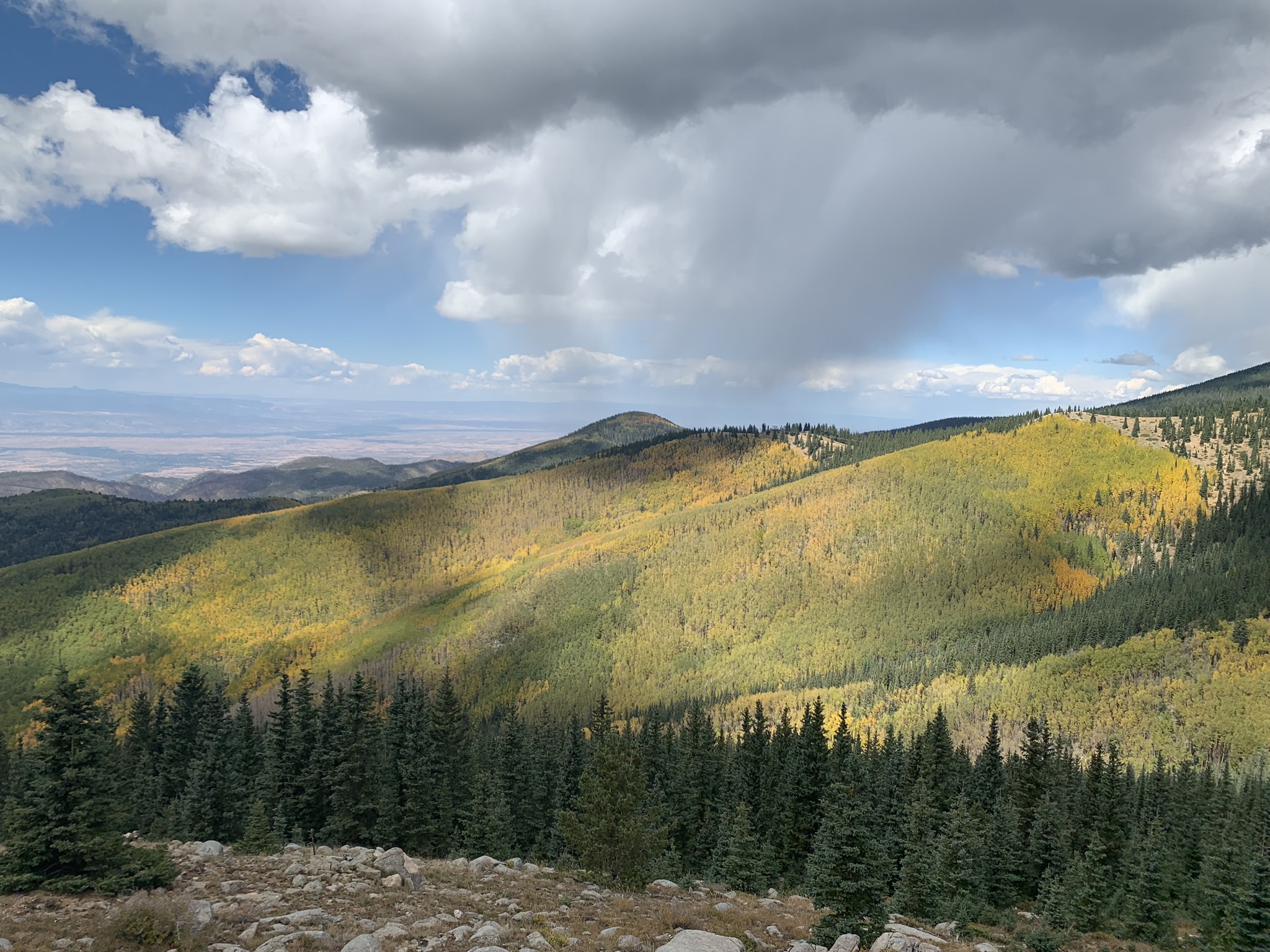 Aspen Vista Trail, Santa Fe Ski Basin, New Mexico