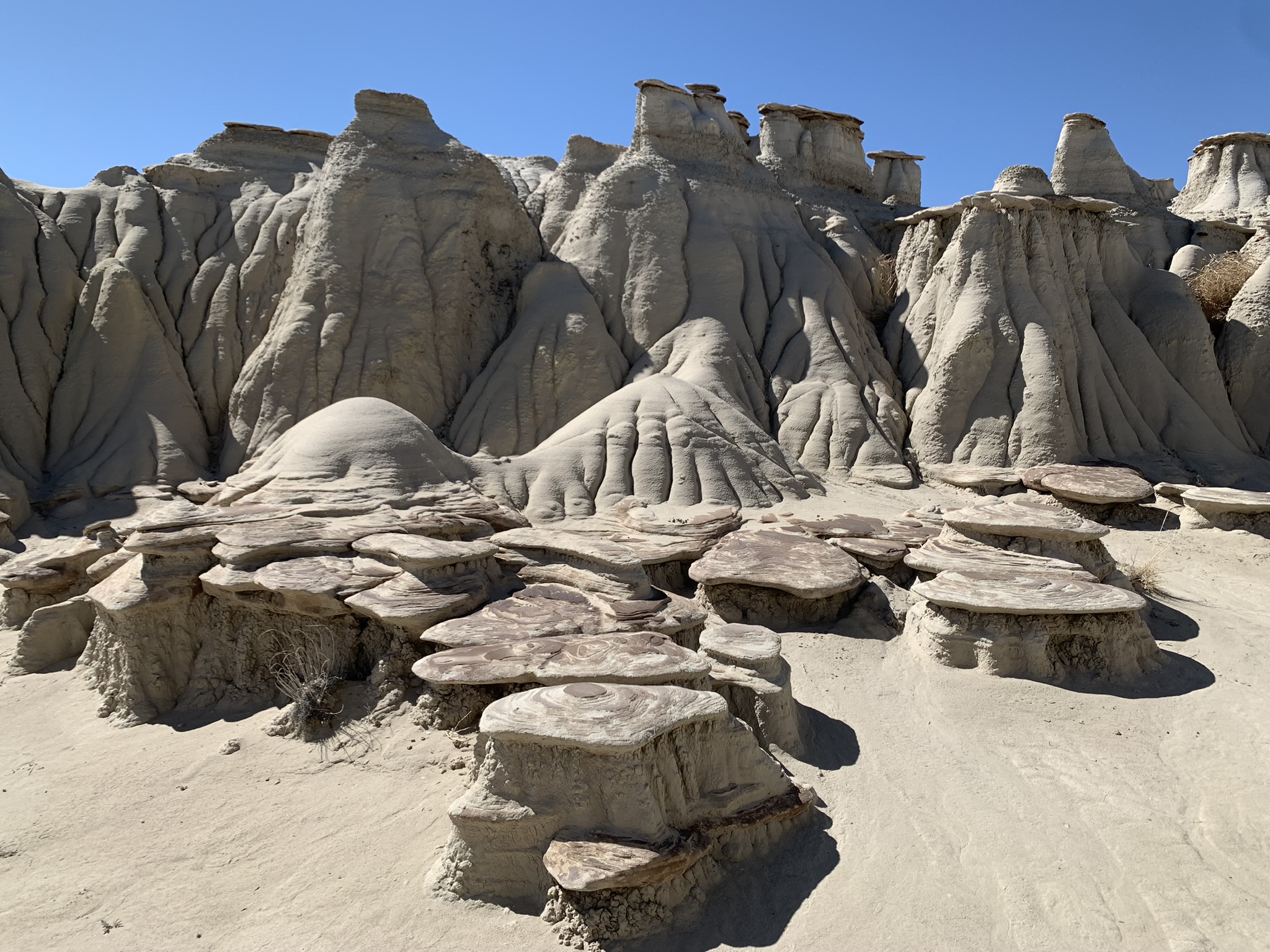 Ah Shi Sle Pah, Bisti Badlands, New Mexico