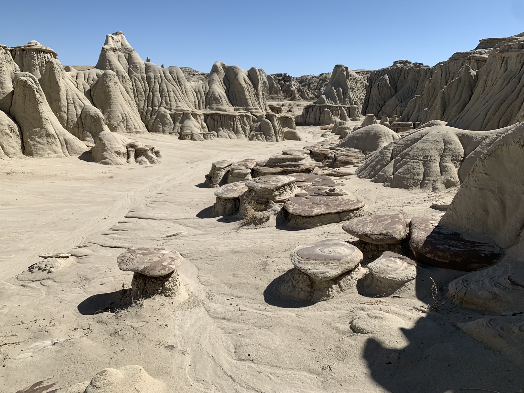 Ah Shi Sle Pah, Bisti Badlands, New Mexico