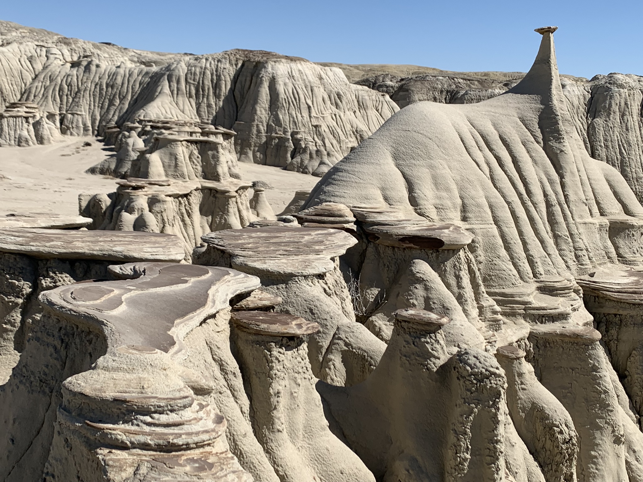Ah Shi Sle Pah, Bisti Badlands, New Mexico