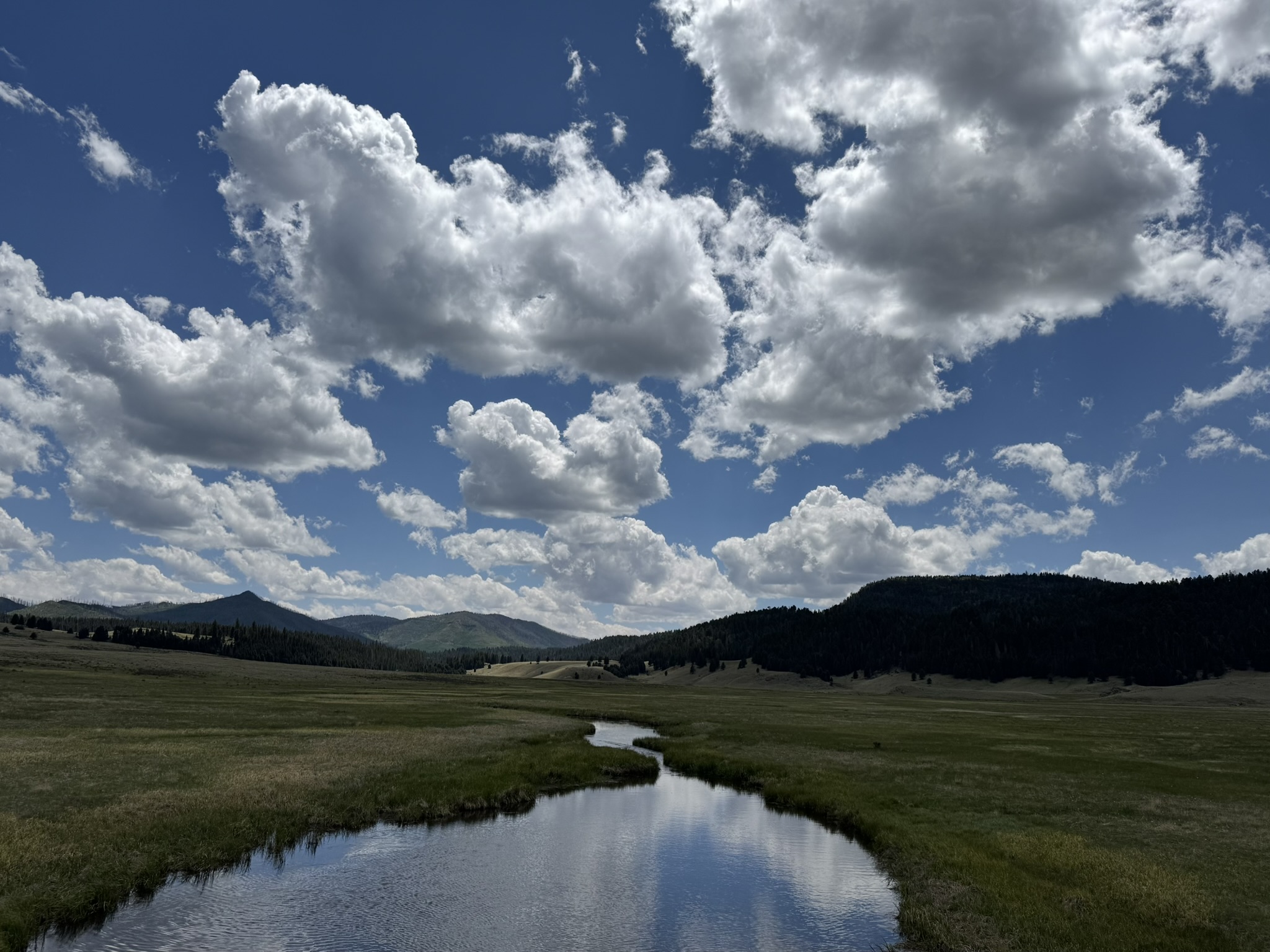 Valles Caldera, New Mexico
